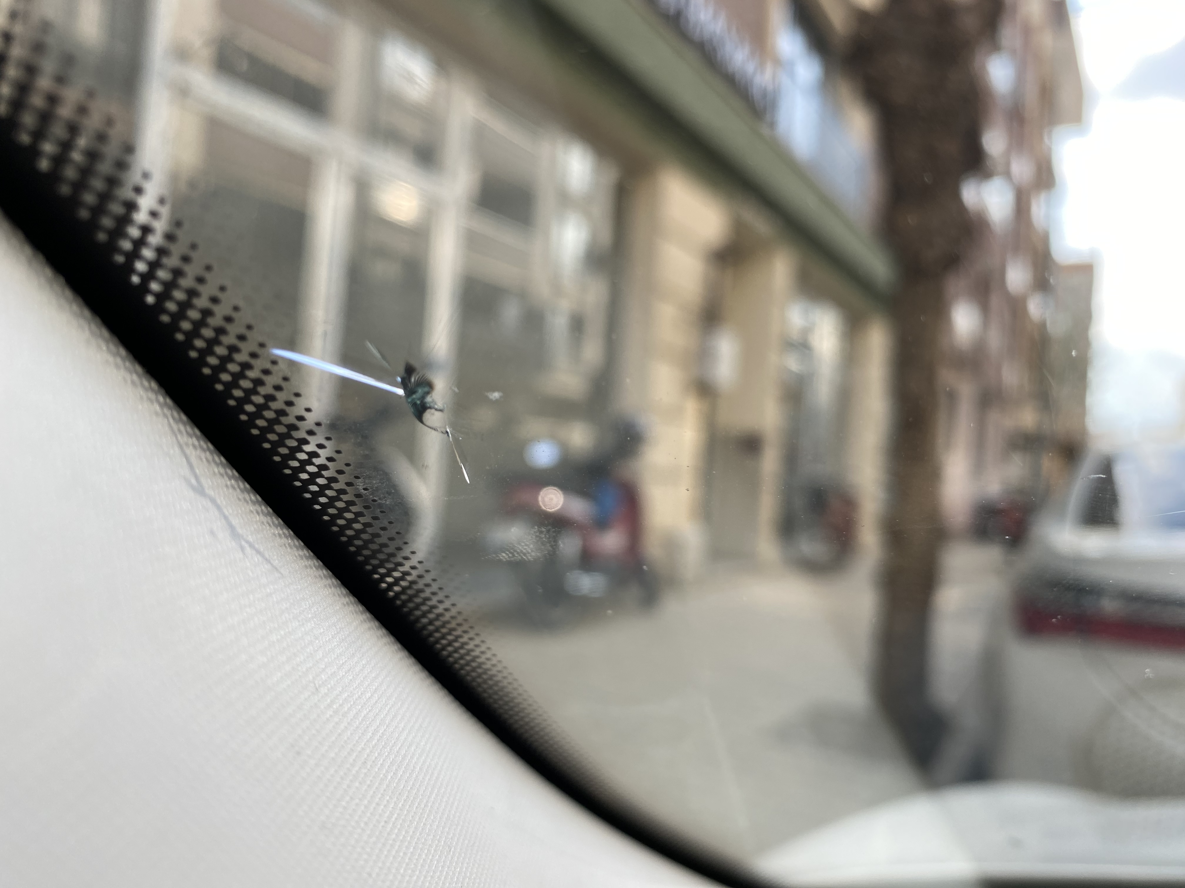 Ön Cam Kırığı - Yıldız Tipi Çatlak